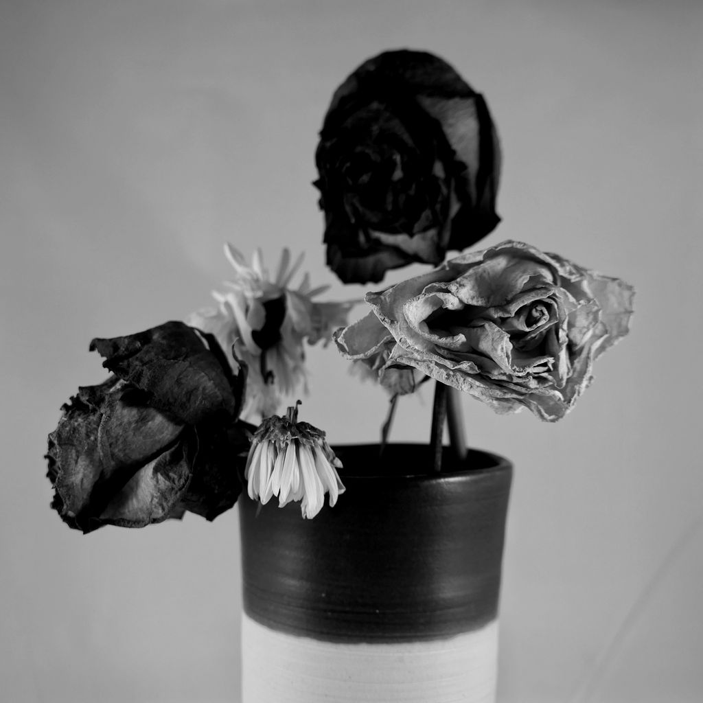 Objets trouvés, vue 3 — nature morte
